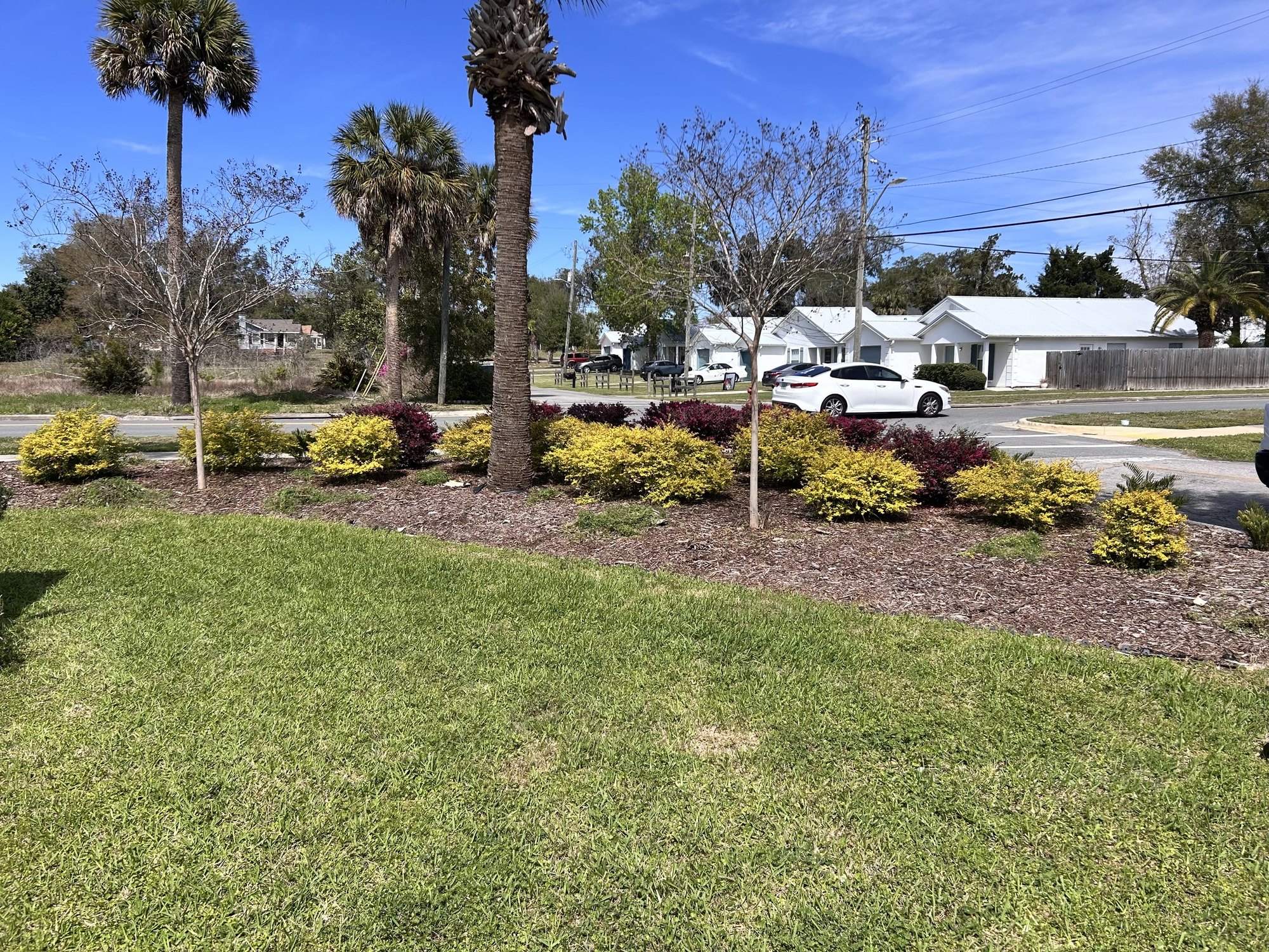Spiced Up Lawn Service LLC project 2 in Lynn Haven, FL